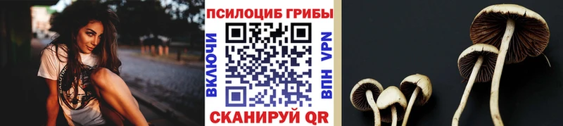 Галлюциногенные грибы Psilocybe  Чебаркуль 