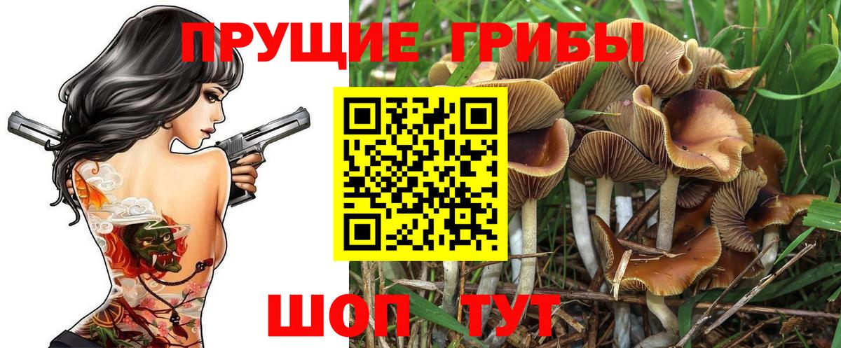 Галлюциногенные грибы Cubensis Чебаркуль